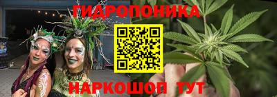 прущие крисы Кимры