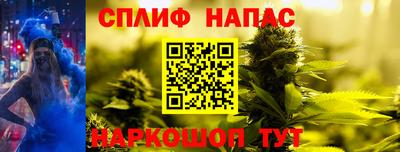 ешки Кингисепп