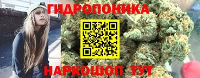 ешки Кингисепп