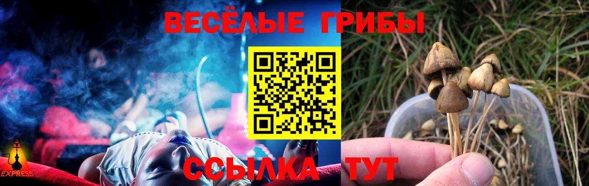 Галлюциногенные грибы Psilocybine cubensis  Вход с VPN  Волгоград 